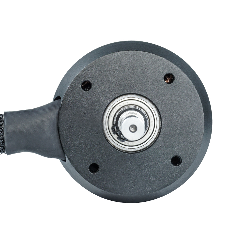 Flipsky Sensored Outrunner Bru - 63100 Brushless Motor 140Kv ulasan dan harga