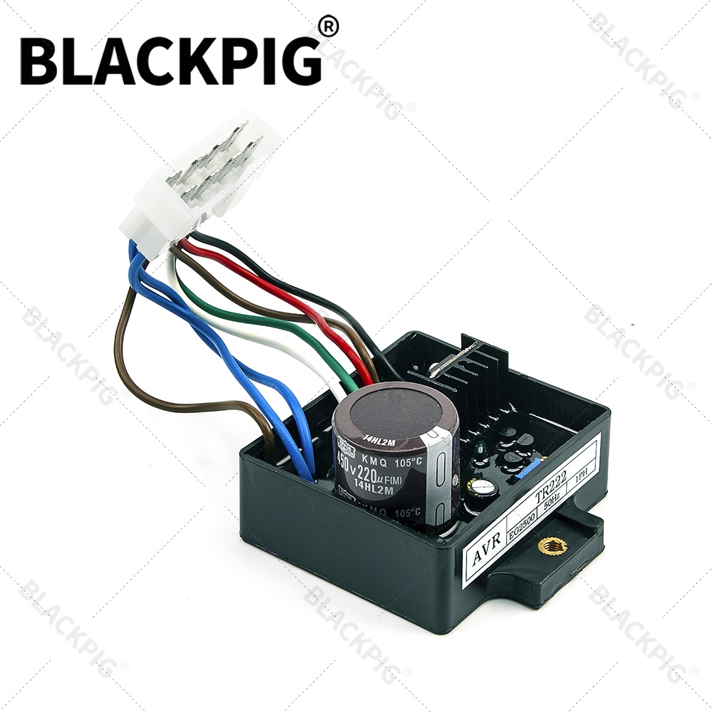 TR222 EG2500 AVR Automatic Vol - Cycloidal Reducer Bldc Motor ulasan dan harga
